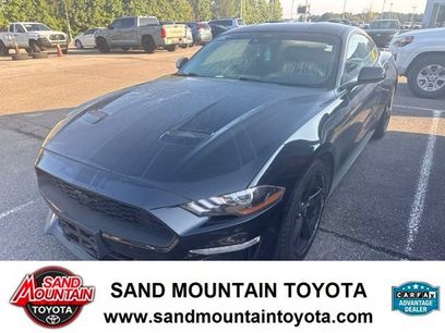 Used 2023 Ford Mustang Coupe w/ Equipment Group 101A