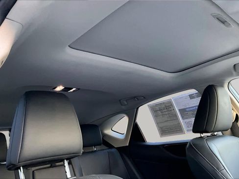 Used 2025 Lexus NX 350h AWD w/ Cold Area Package image 13