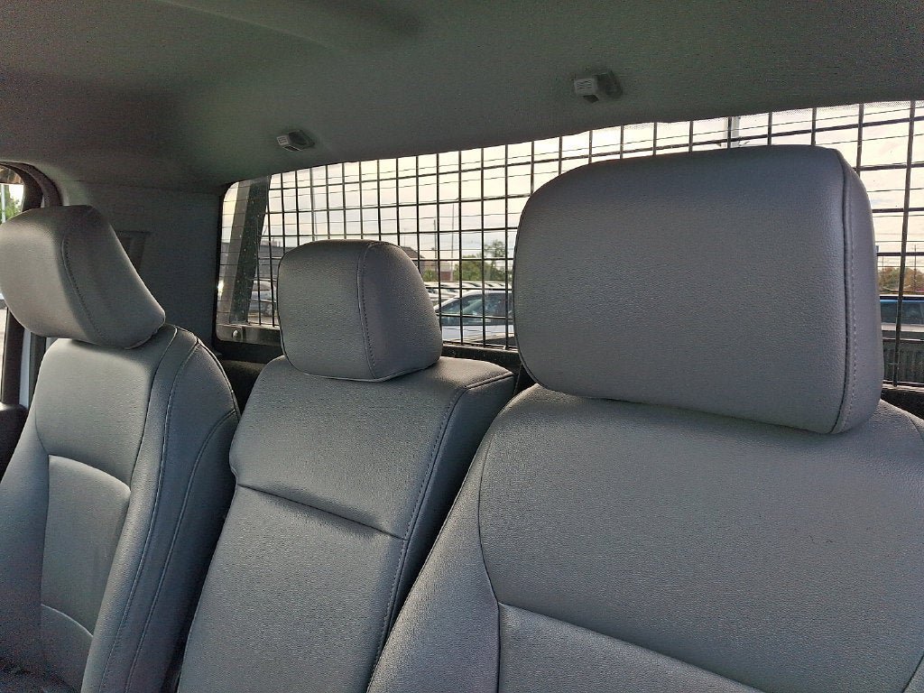 Used 2024 Ford F150 XL w/ Equipment Group 103A High RWD image 13