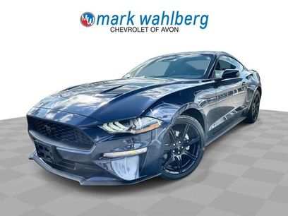 Used 2019 Ford Mustang Coupe w/ Equipment Group 101A