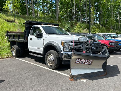 Used 2019 Ford F550 4x4 Regular Cab Super Duty image 1