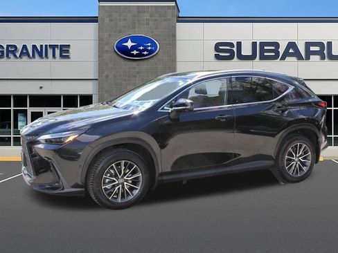 Used 2025 Lexus NX 350h AWD w/ Rear Seat Package image 6