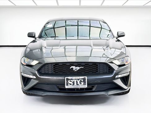 Used 2019 Ford Mustang Premium w/ Ecoboost Performance Package RWD image 2