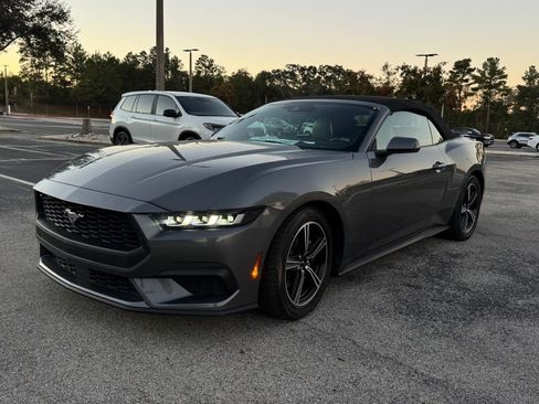 Used 2024 Ford Mustang Premium image 3