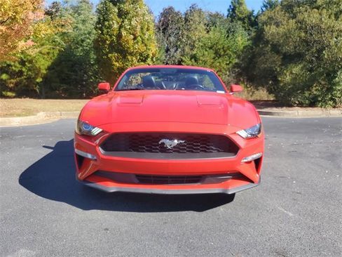 Used 2019 Ford Mustang Premium w/ Equipment Group 201A image 9