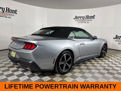 Used 2025 Ford Mustang Premium RWD image 6