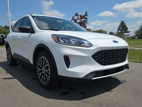 Used 2020 Ford Escape SE FWD image 1