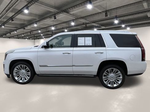 Used 2019 Cadillac Escalade Platinum image 13
