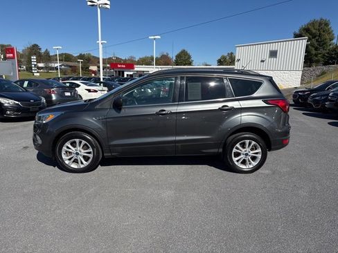 Used 2019 Ford Escape SEL image 5