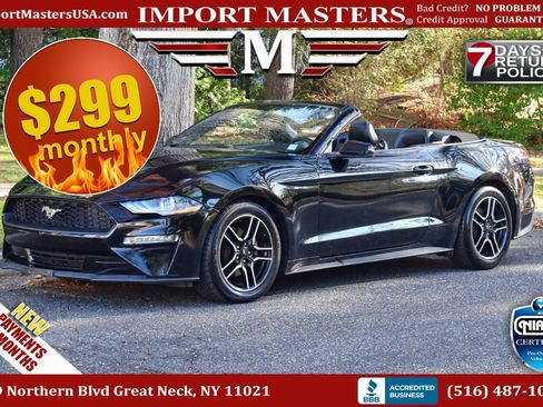 Used 2019 Ford Mustang Premium image 1