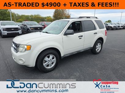 Used 2010 Ford Escape XLT