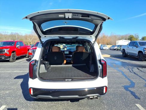 Used 2024 Kia Telluride SX Prestige X-Pro image 6