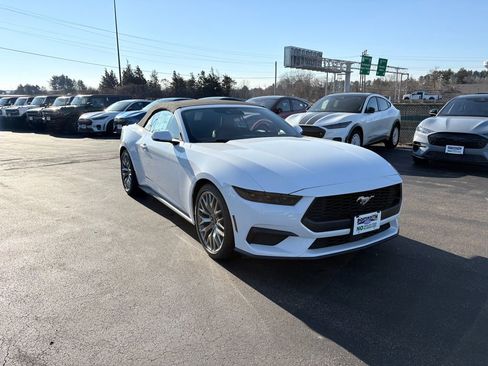 New 2026 Ford Mustang Premium image 1