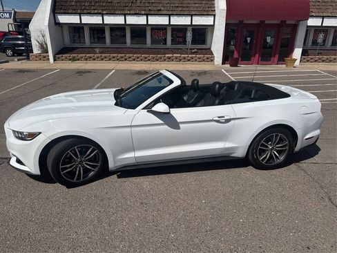Used 2016 Ford Mustang Premium image 13
