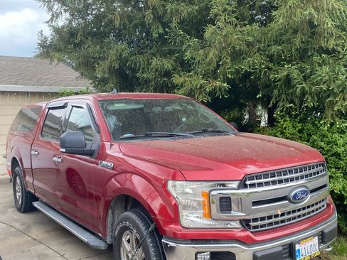 Used 2019 Ford F150 XLT w/ Equipment Group 302A Luxury image 2