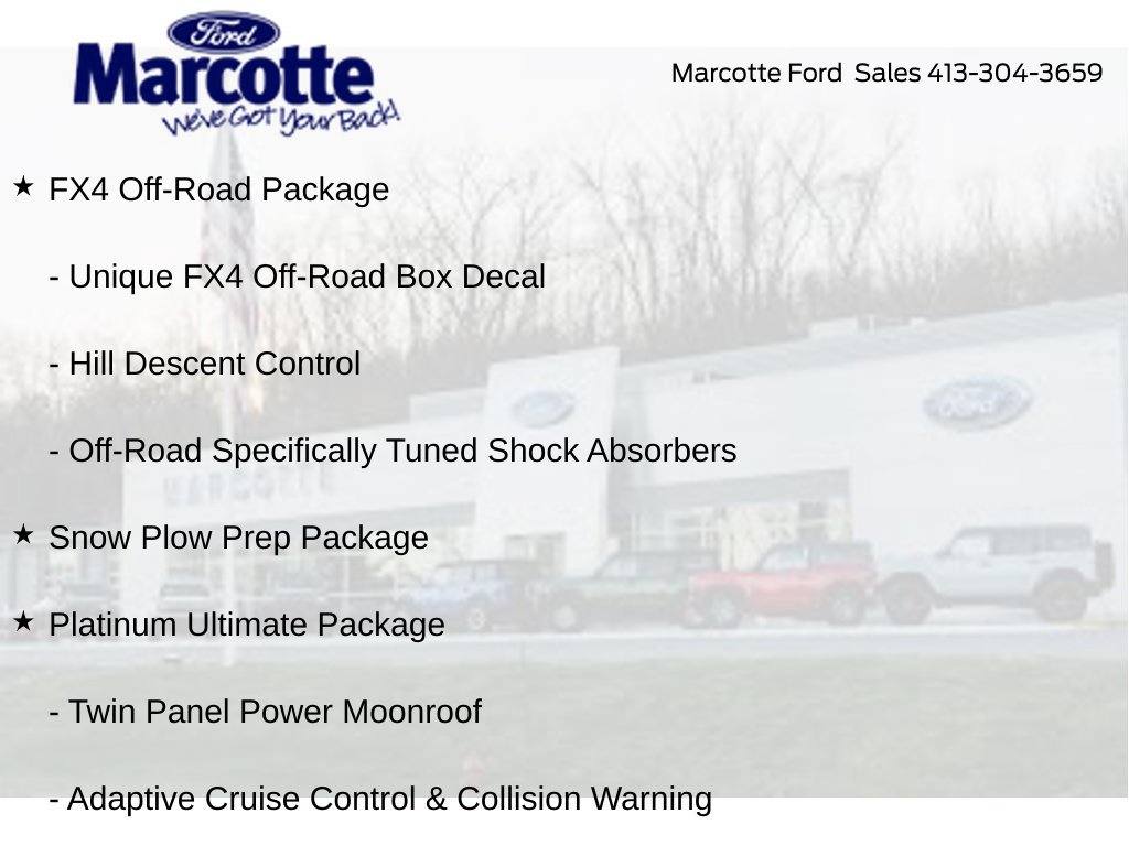 Used 2019 Ford F350 Platinum w/ Platinum Ultimate Package AWD/4WD image 6