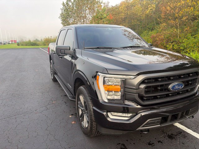 Used 2023 Ford F150 XLT w/ Equipment Group 302A High AWD/4WD image 8