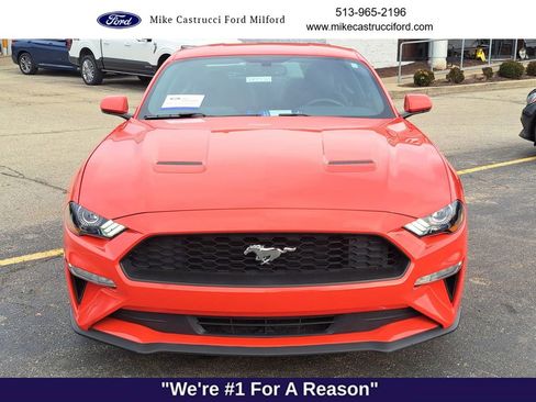 Certified 2019 Ford Mustang Coupe image 8
