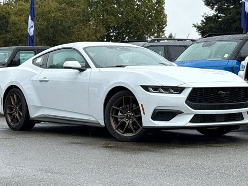 Used 2024 Ford Mustang Premium image 2