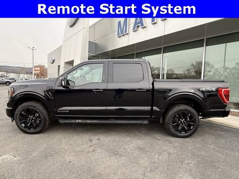 Used 2023 Ford F150 XLT w/ Equipment Group 302A High image 5