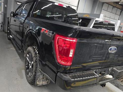 Used 2023 Ford F150 XLT w/ Equipment Group 302A High image 5