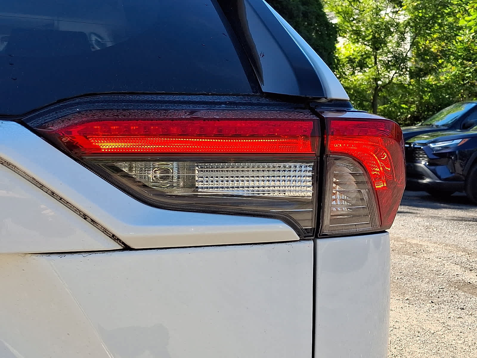 Used 2019 Toyota RAV4 XLE w/ Carpet Mat Package AWD/4WD image 12