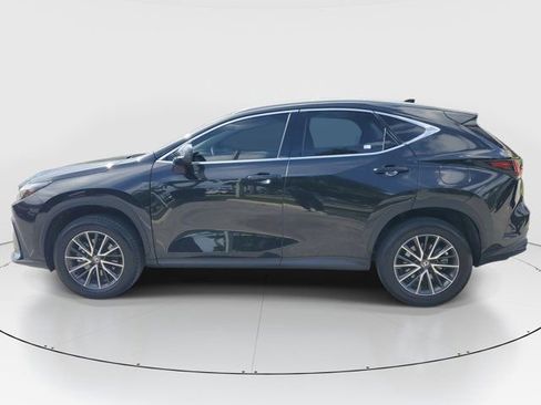 Used 2024 Lexus NX 250 FWD w/ Cold Area Package image 7