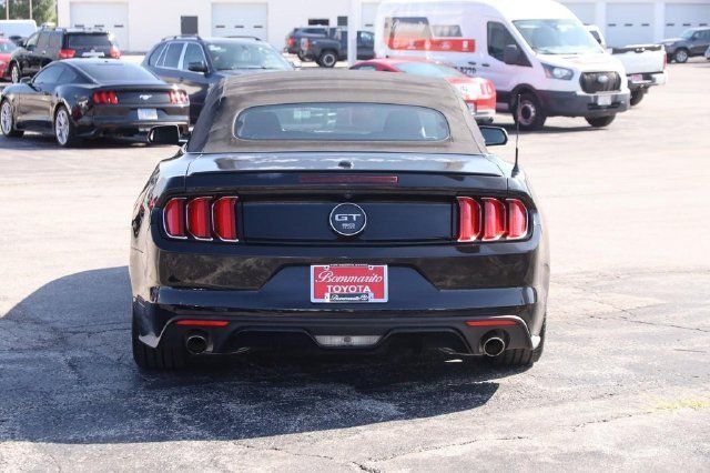 Used 2015 Ford Mustang GT Premium w/ Equipment Group 401A RWD image 6