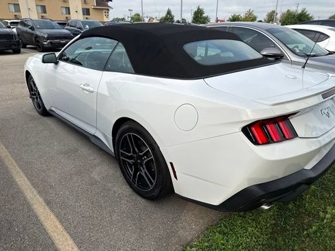 Used 2024 Ford Mustang Premium RWD image 5