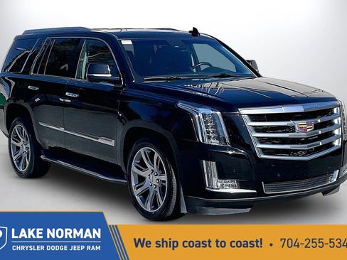 Used 2015 Cadillac Escalade Luxury image 1