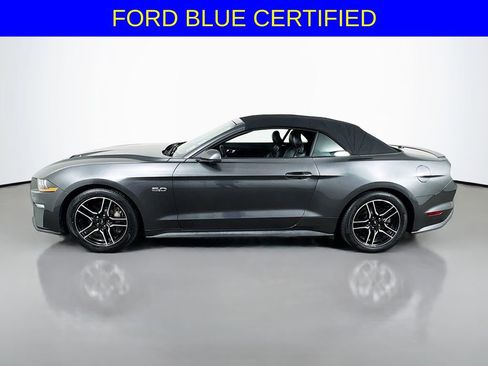 Certified 2019 Ford Mustang GT Premium w/ Equipment Group 401A image 8