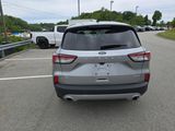 Used 2022 Ford Escape SE w/ Cold Weather Package image 4
