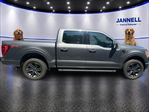 Used 2023 Ford F150 XLT w/ Equipment Group 302A High AWD/4WD image 4