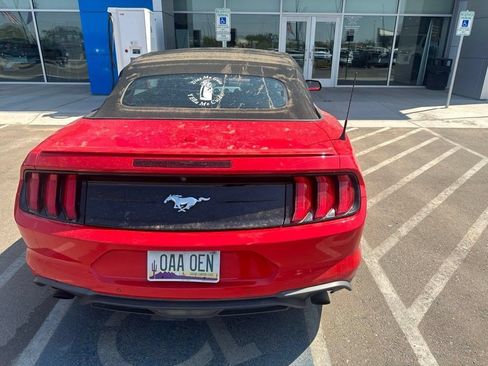 Used 2021 Ford Mustang Premium RWD image 6