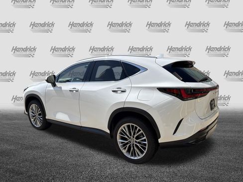 Certified 2026 Lexus NX 350 AWD w/ Cold Area Package image 8