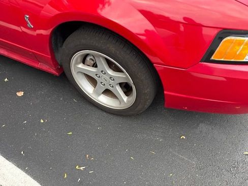 Used 1999 Ford Mustang Cobra RWD image 3
