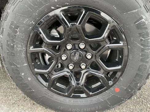 New 2025 Ford F150 XLT w/ Equipment Group 302A MID image 6