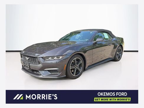 Used 2024 Ford Mustang Premium RWD image 1