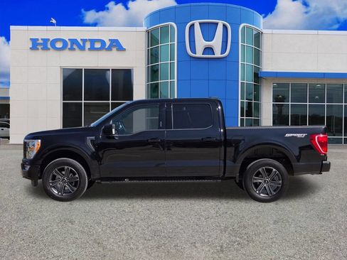 Used 2023 Ford F150 XLT w/ Equipment Group 302A High AWD/4WD image 6