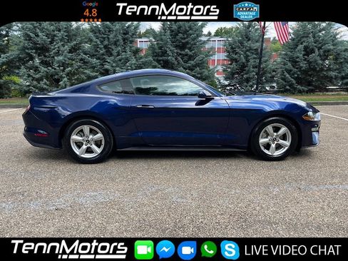 Used 2019 Ford Mustang Coupe RWD image 2