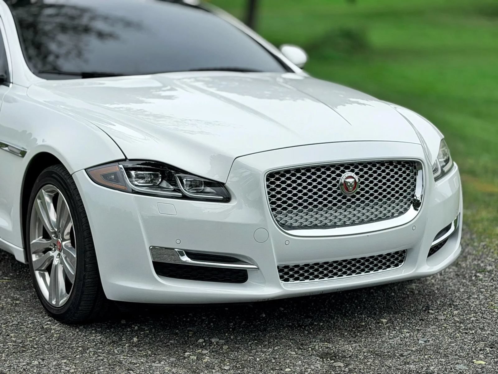 Used 2017 Jaguar XJ L Portfolio AWD/4WD image 33