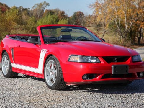 Used 1999 Ford Mustang Cobra RWD image 3
