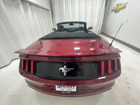 Used 2017 Ford Mustang Convertible RWD image 14