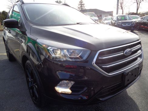 Used 2019 Ford Escape SE AWD/4WD image 15