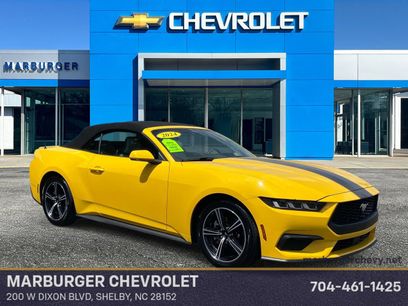 Used 2024 Ford Mustang Premium