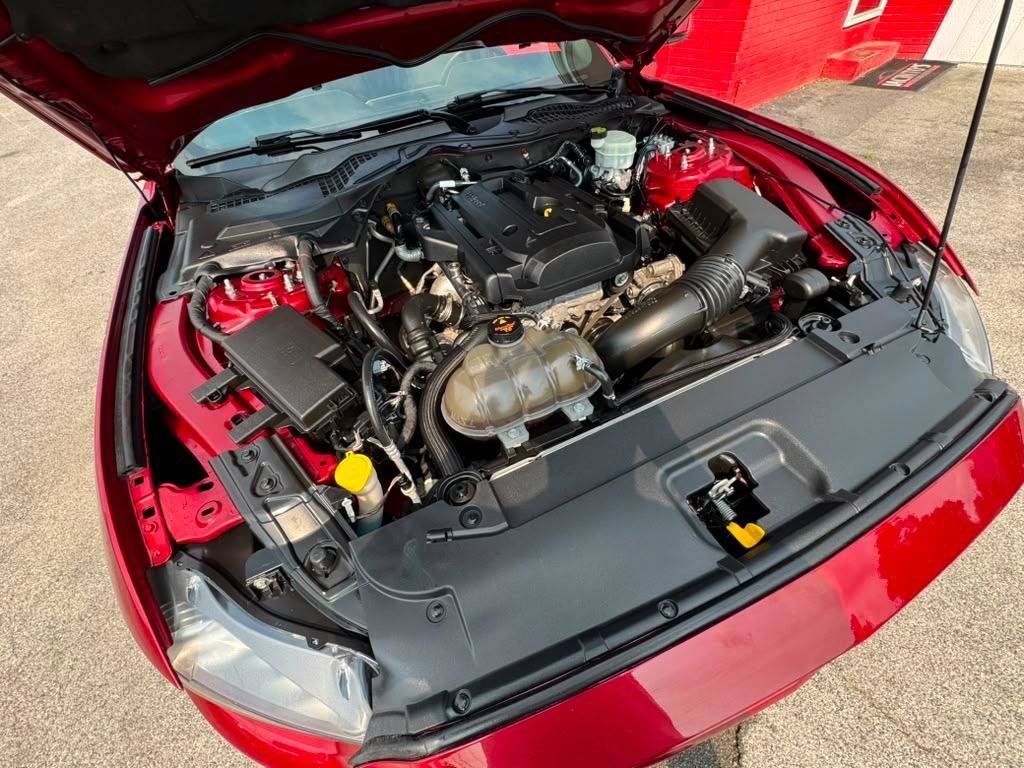 Used 2015 Ford Mustang Premium w/ Equipment Group 201A RWD image 30