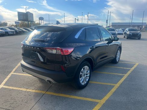 Used 2021 Ford Escape SE w/ Convenience Package image 6