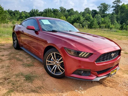 Used 2016 Ford Mustang Premium w/ Equipment Group 201A RWD image 13