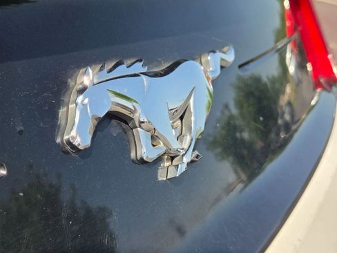 Used 2019 Ford Mustang Premium RWD image 8