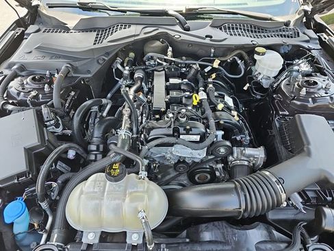 Used 2023 Ford Mustang Coupe w/ Equipment Group 101A image 30